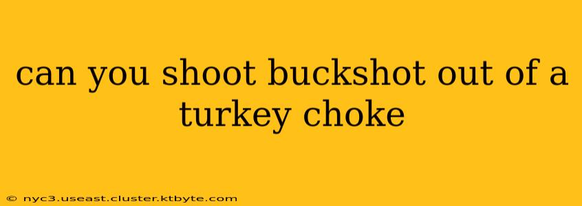 can you shoot buckshot out of a turkey choke