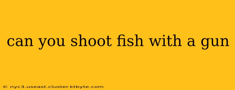 can you shoot fish with a gun