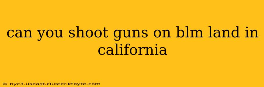 can you shoot guns on blm land in california