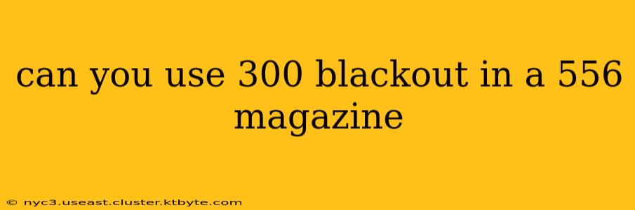 can you use 300 blackout in a 556 magazine