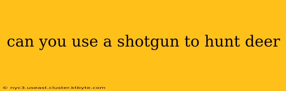 can you use a shotgun to hunt deer