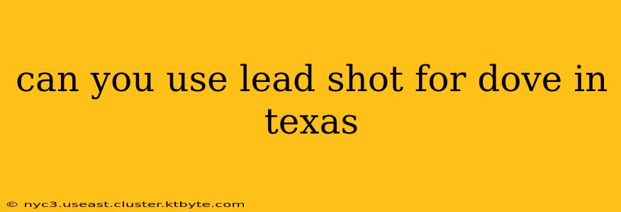 can you use lead shot for dove in texas