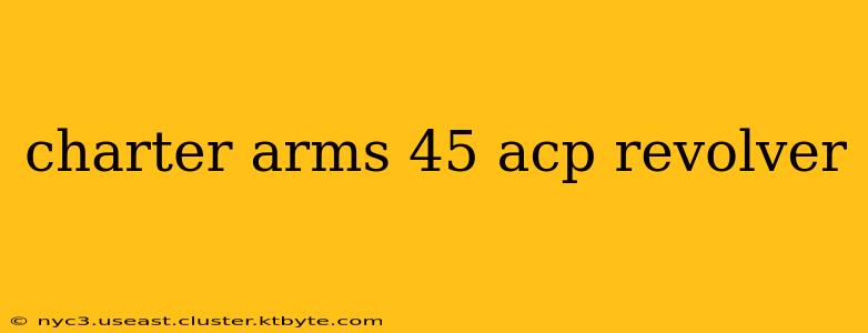 charter arms 45 acp revolver