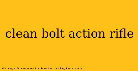 clean bolt action rifle