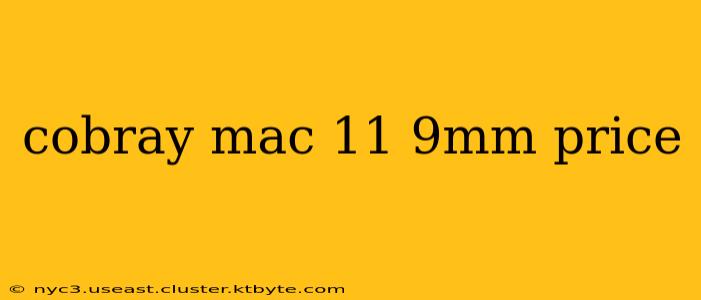 cobray mac 11 9mm price