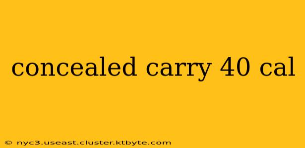 concealed carry 40 cal