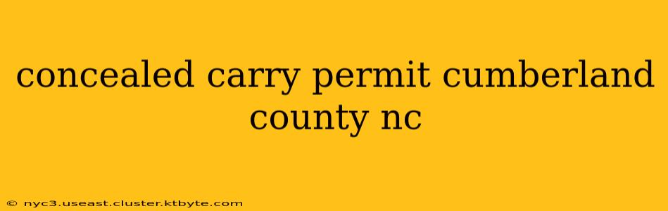 concealed carry permit cumberland county nc