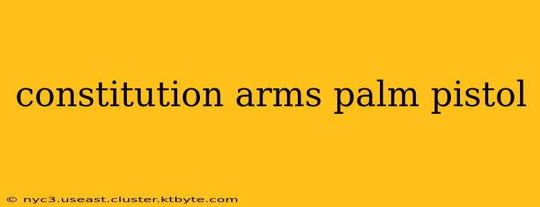 constitution arms palm pistol