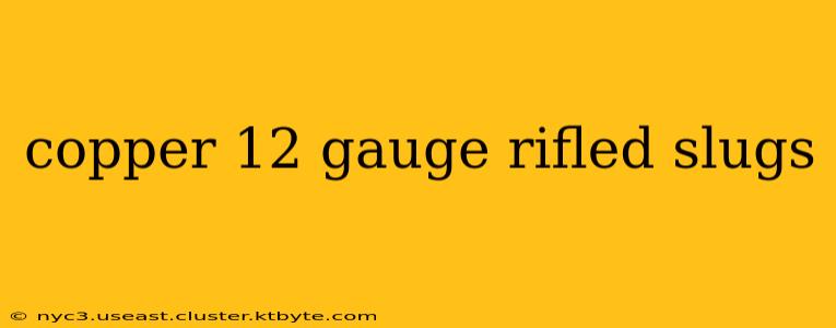 copper 12 gauge rifled slugs