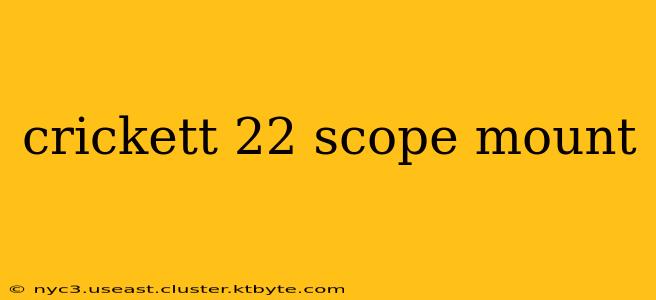 crickett 22 scope mount