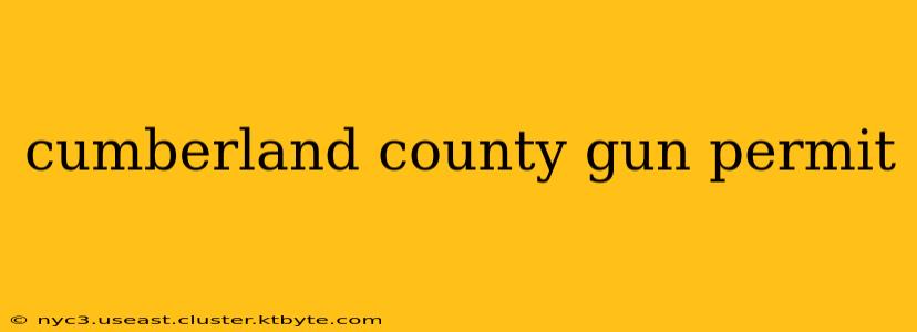 cumberland county gun permit