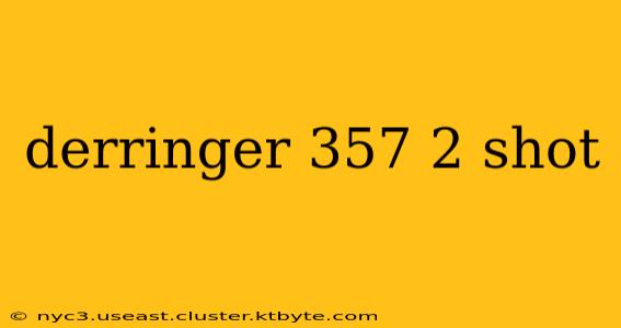 derringer 357 2 shot