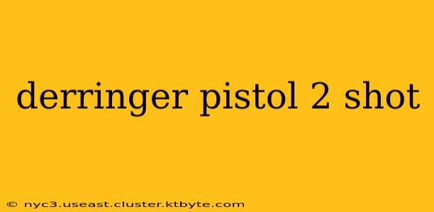 derringer pistol 2 shot