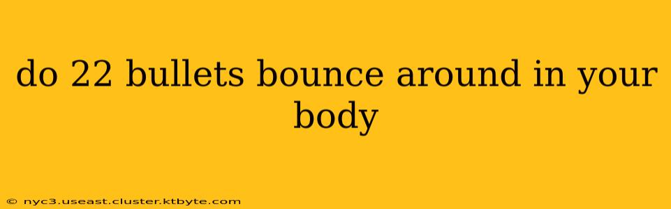 do 22 bullets bounce around in your body