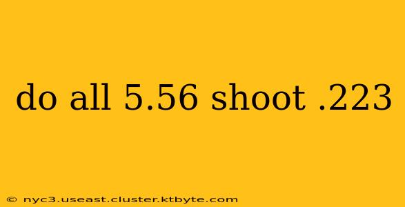 do all 5.56 shoot .223