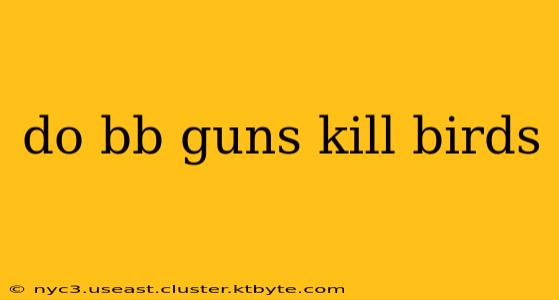 do bb guns kill birds