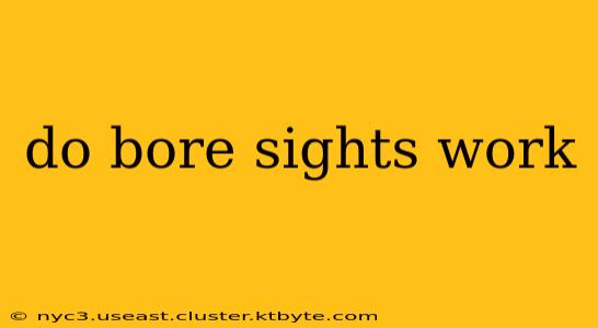 do bore sights work