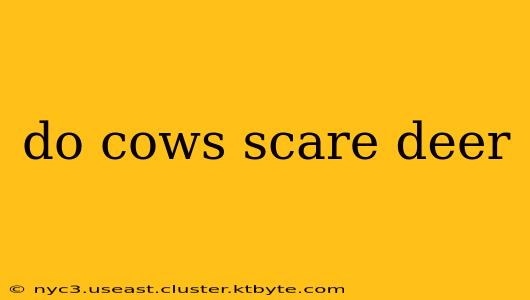 do cows scare deer