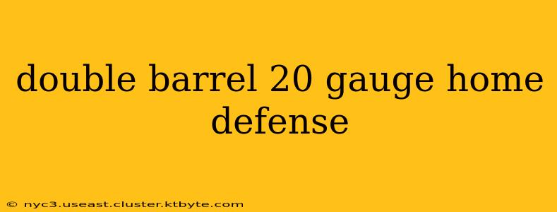 double barrel 20 gauge home defense