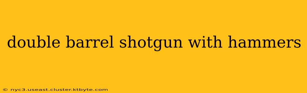 double barrel shotgun with hammers