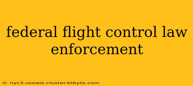 federal flight control law enforcement