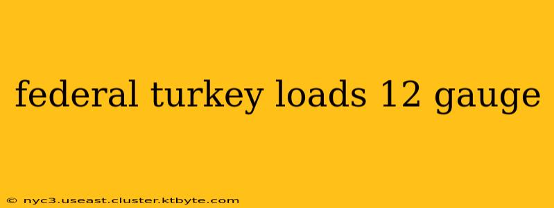 federal turkey loads 12 gauge