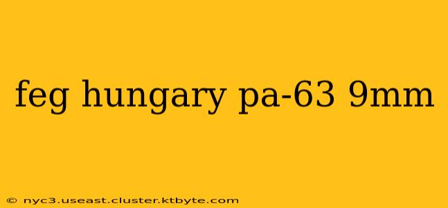 feg hungary pa-63 9mm