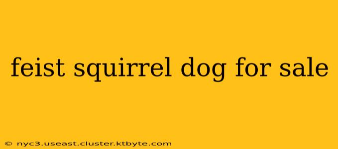 feist squirrel dog for sale