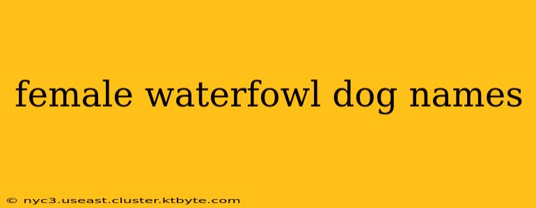 female waterfowl dog names