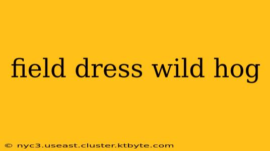 field dress wild hog