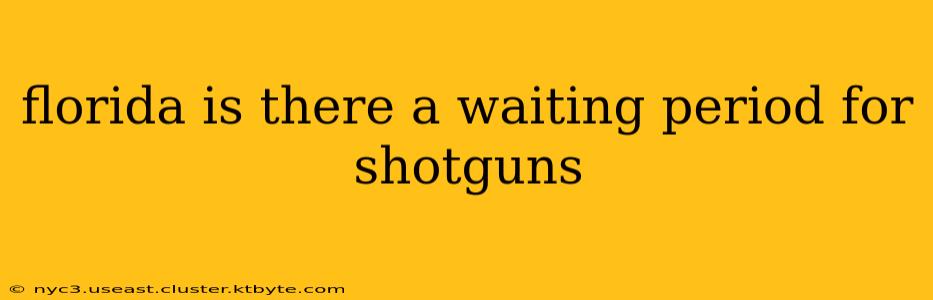 florida is there a waiting period for shotguns