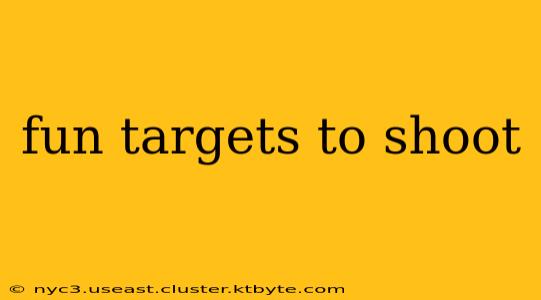 fun targets to shoot