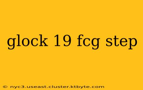 glock 19 fcg step