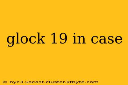 glock 19 in case