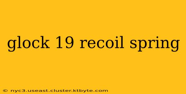 glock 19 recoil spring