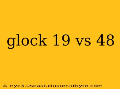 glock 19 vs 48