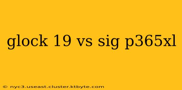 glock 19 vs sig p365xl