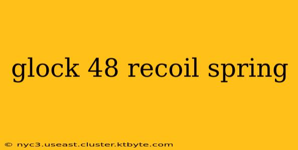 glock 48 recoil spring