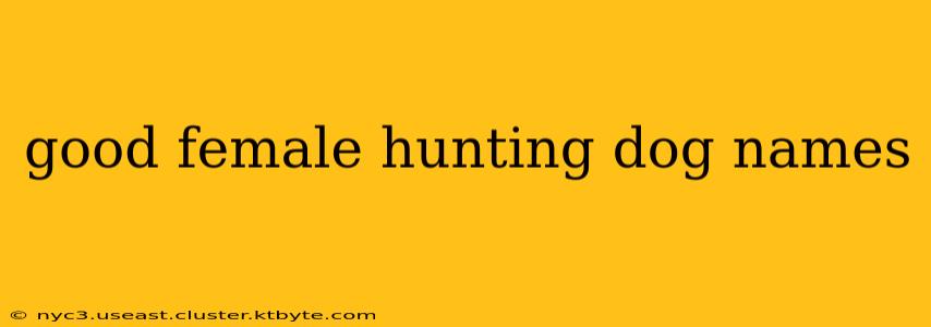 good female hunting dog names