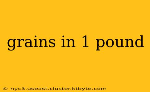 grains in 1 pound