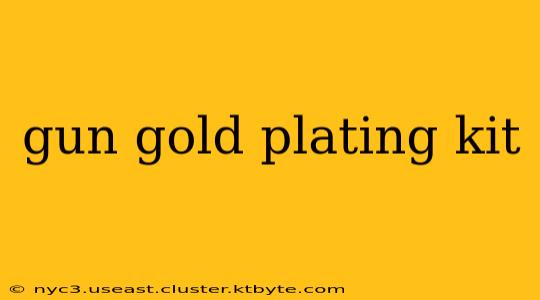 gun gold plating kit