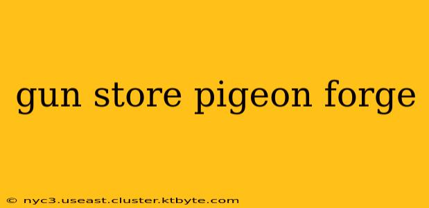 gun store pigeon forge