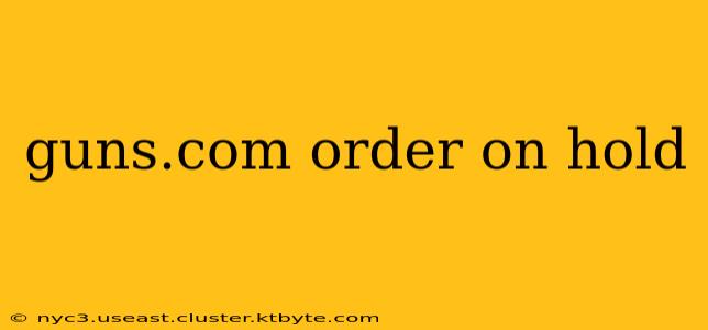 guns.com order on hold