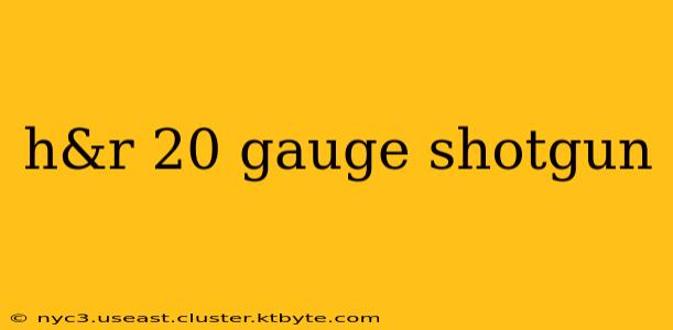 h&r 20 gauge shotgun