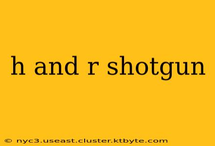 h and r shotgun