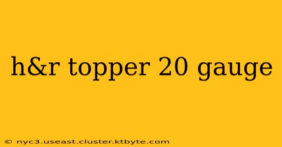 h&r topper 20 gauge