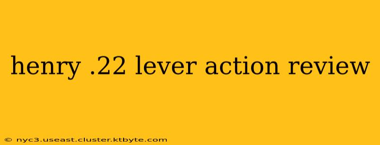 henry .22 lever action review