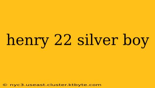 henry 22 silver boy