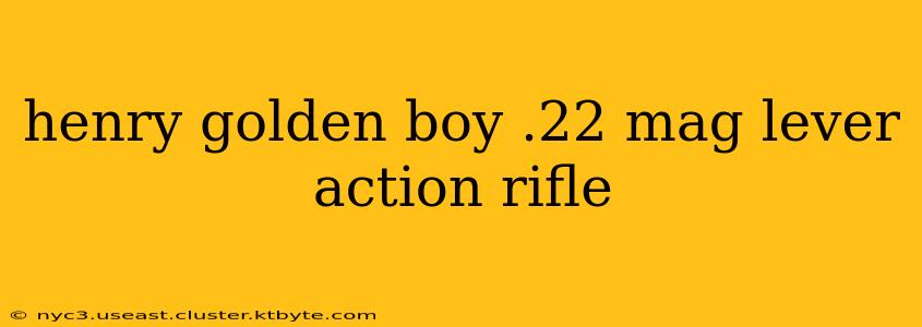 henry golden boy .22 mag lever action rifle