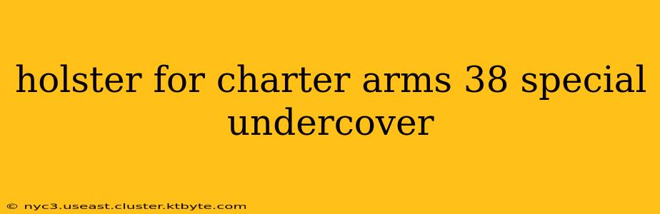 holster for charter arms 38 special undercover